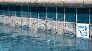 Low water line and dry mineral scale on the waterline tile of a Miami pool