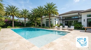 Miami backyard pool with a smooth plaster surface and clear water beside royal palms
